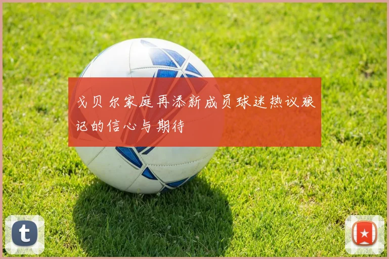 戈贝尔家庭再添新成员球迷热议狼记的信心与期待