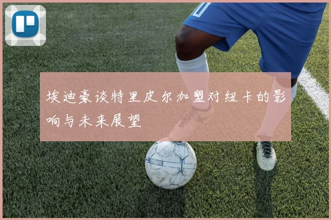 埃迪豪谈特里皮尔加盟对纽卡的影响与未来展望