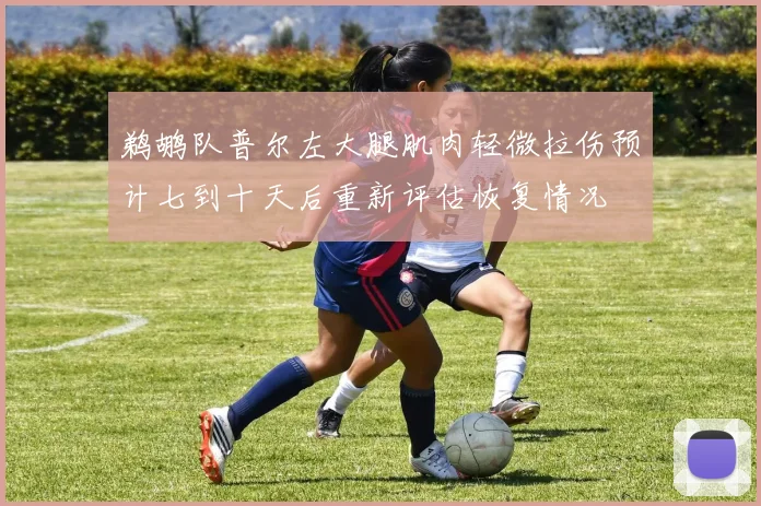 鹈鹕队普尔左大腿肌肉轻微拉伤预计七到十天后重新评估恢复情况